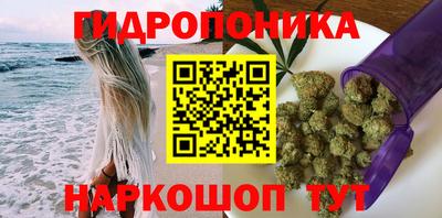 индика Беслан