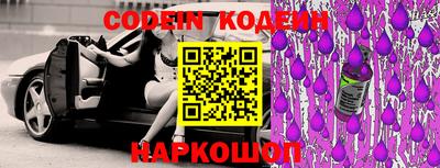 индика Беслан