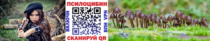 mega вход  Ейск  Галлюциногенные грибы Magic Shrooms 