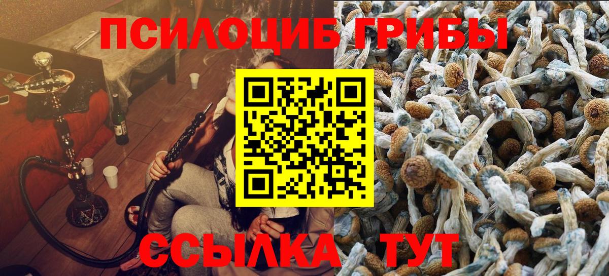 Галлюциногенные грибы Magic Shrooms Ейск