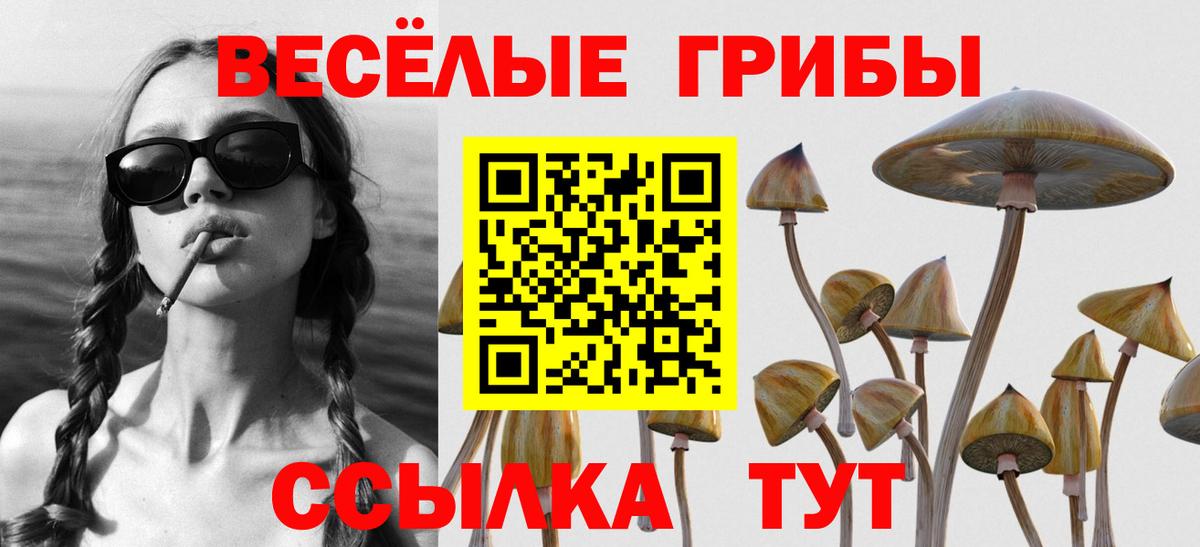Псилоцибиновые грибы GOLDEN TEACHER  Вход с VPN  Галлюциногенные грибы мицелий  наркота  Ейск 