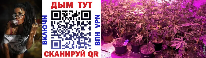 Марихуана семена  купить закладку  Ейск 
